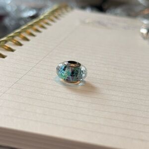 Pandora Multicolor and Silver Charm